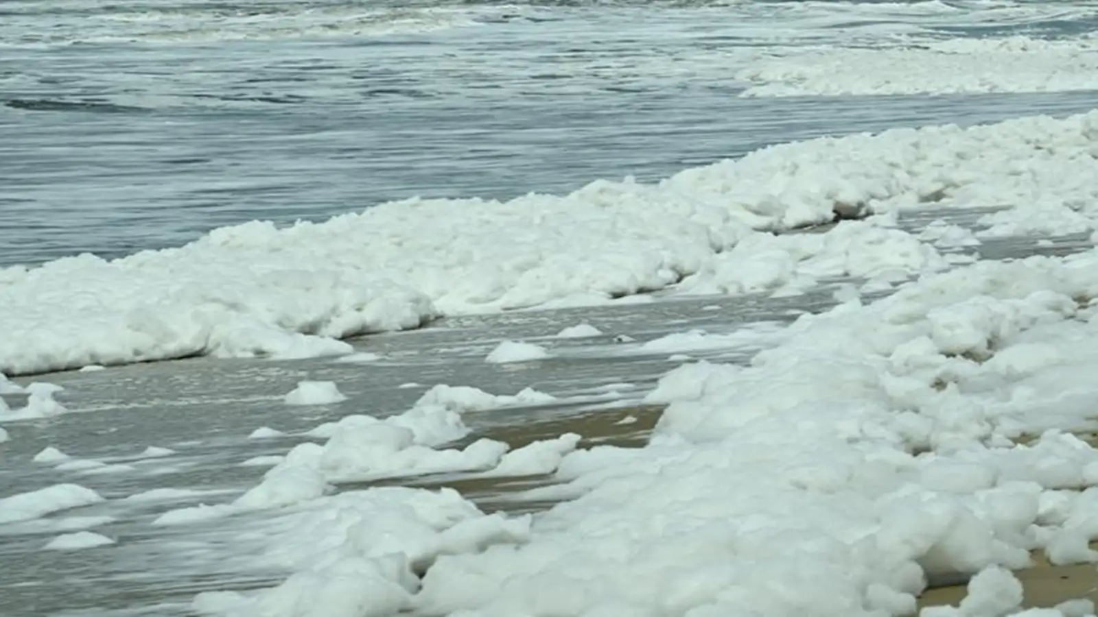 பட்டினம்பாக்கம் கடற்கரையில் நுரை-பசுமை தீர்ப்பாயம் எடுக்கப்போகும் நடவடிக்கை! 