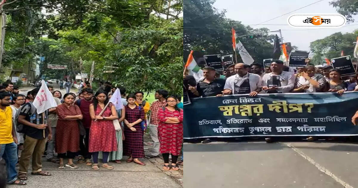 ‘ছোট ভাইটা বিচার পাক!’ যাদবপুর নিয়ে শহর জুড়ে প্রতিবাদে মুখর ছাত্র সংগঠনগুলি