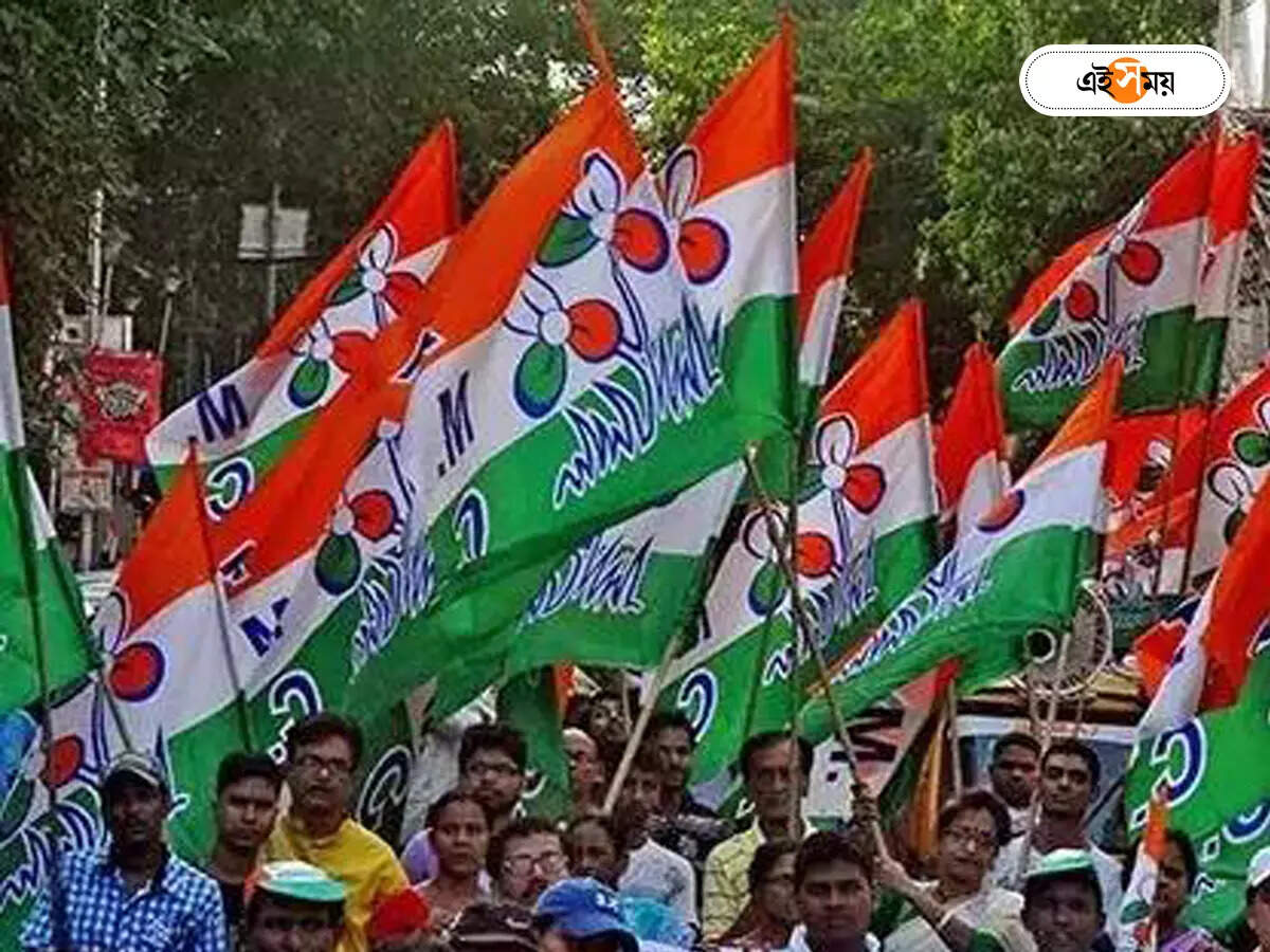 Trinamool Congress : রাজ্যের প্রাপ্য আদায়ে তৃণমূলের ৫০০ জনপ্রতিনিধি যাচ্ছেন দিল্লি – tmc 500 representatives going to delhi to collect the dues of west bengal