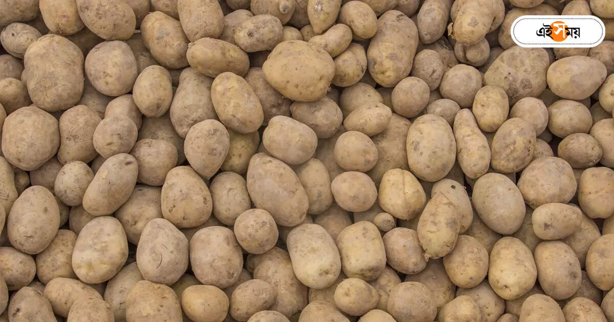 Potato Price,উঠল ধর্মঘট, ২৬ টাকা কিলোয় আলু বিক্রির প্রস্তাব সরকারের – west bengal government proposal to sell potato at 26 taka per kg
