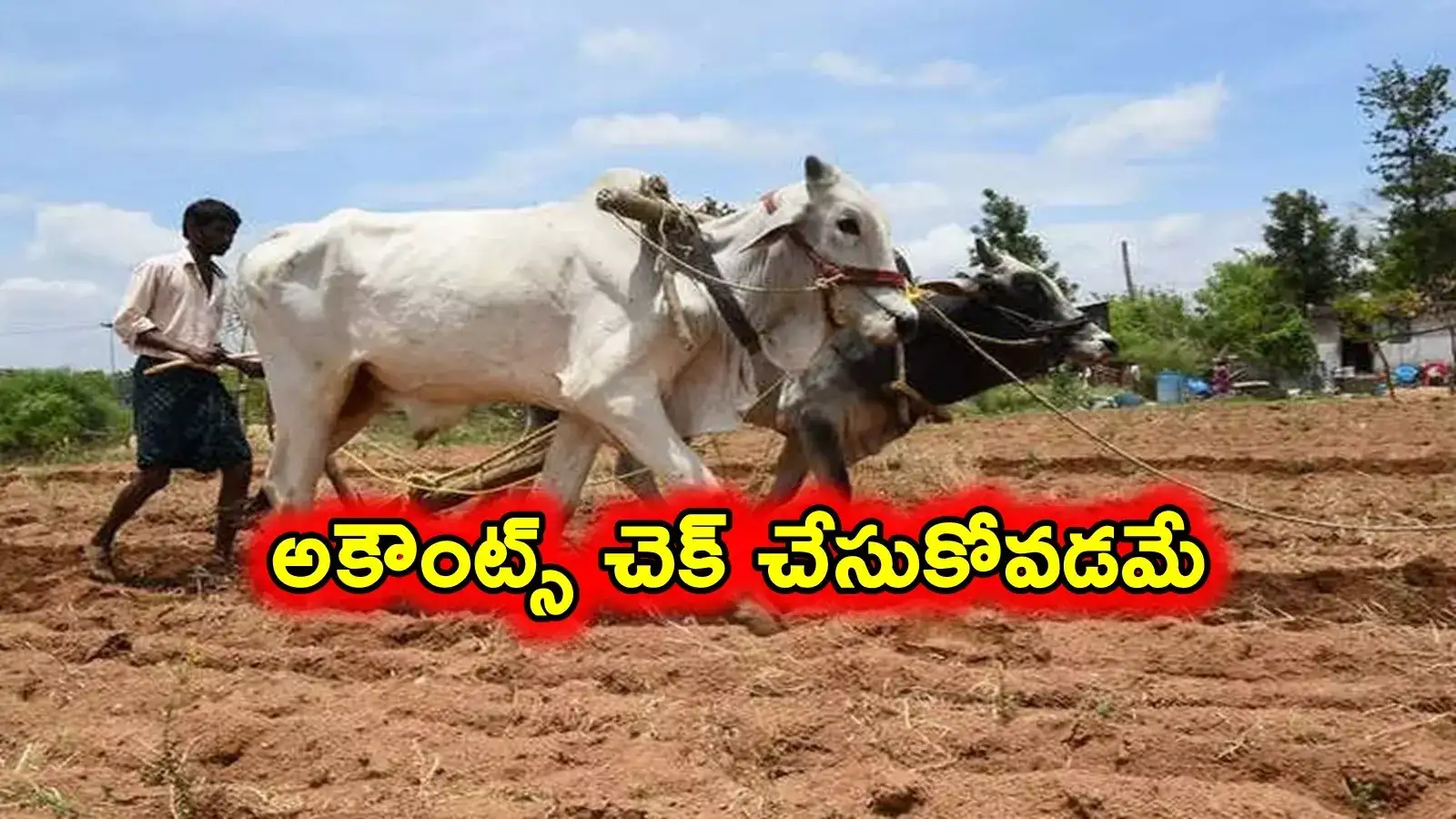 రైతులకు శుభవార్త.. రేపు రాత్రి వరకు అకౌంట్లోకి రైతుభరోసా డబ్బులు..