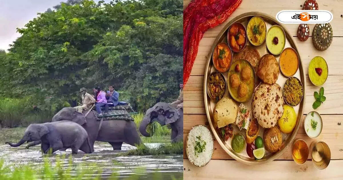 Dooars Tour : পুজোয় জলদাপাড়া ট্যুরিস্ট লজে বিশেষ মেনুতে পর্যটকদের আপ্যায়ন, না জানলে মিস করবেন – jaldapara tourist lodge will make special food arrangements for dooars tourists in puja