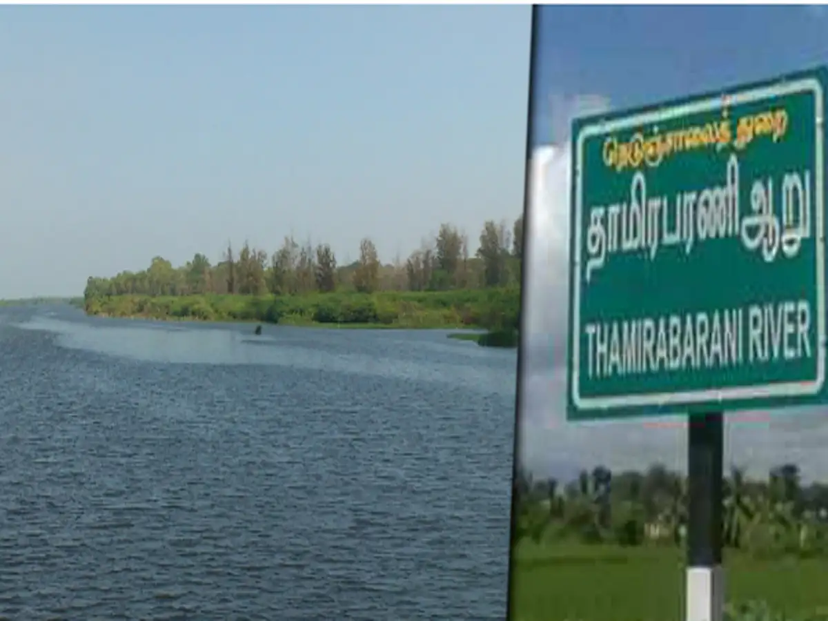 நெல்லை....தாமிரபரணி ஆற்றில் குதித்த இளம் பெண்; அதிரடியாக மீட்ட போலீசார்! 