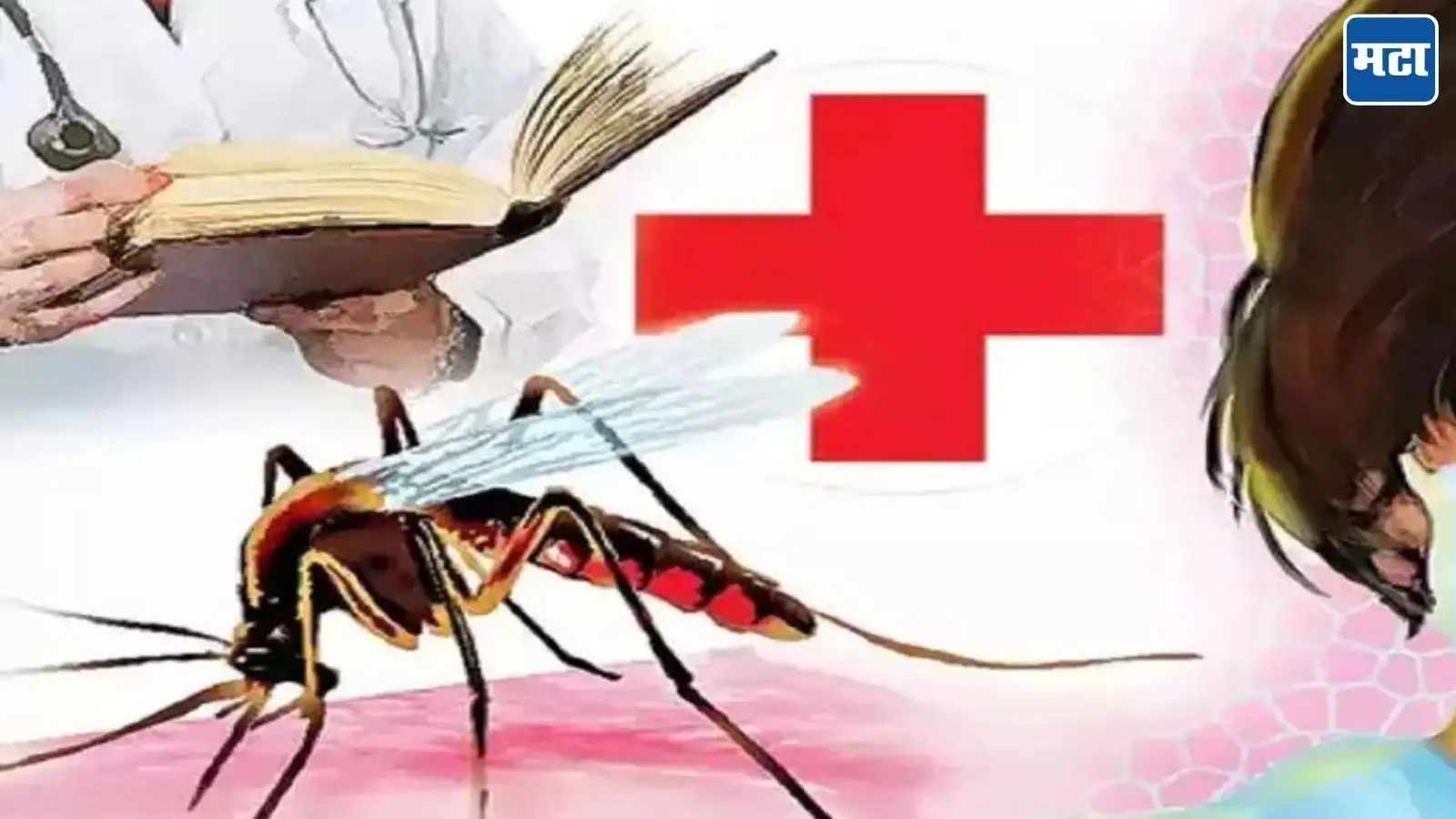 Photo: Maharashtra Times