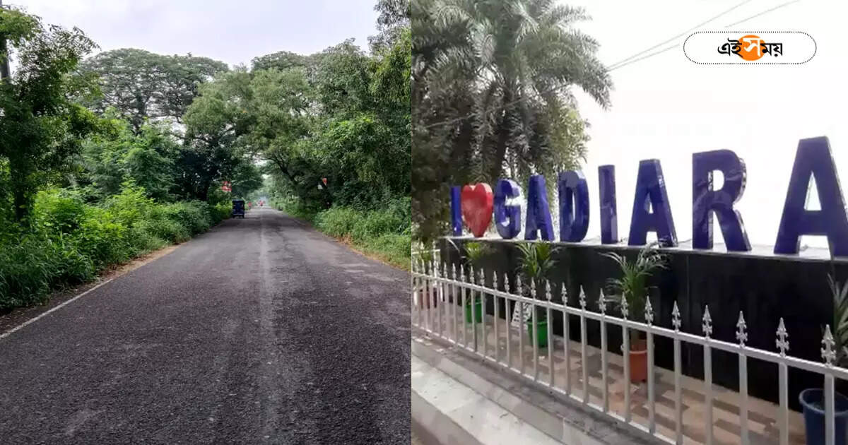 পর্যটক টানতে শ্যামপুর থেকে গাদিয়ারা রাস্তা সম্প্রসারণের কাজ শুরু, বৃক্ষচ্ছেদনের বিরোধিতা পরিবেশপ্রেমীদের