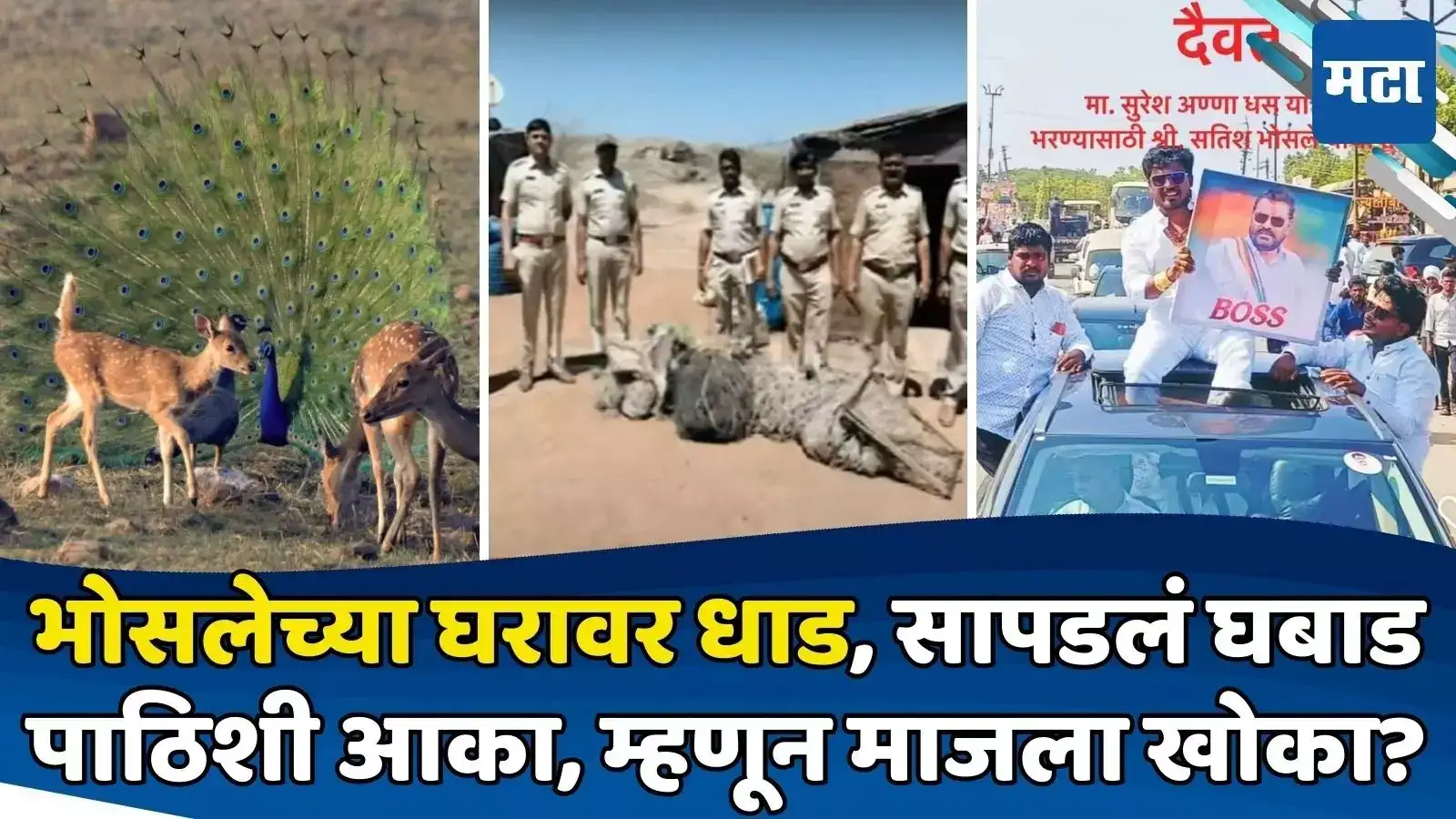 धसांच्या खोक्याच्या घरावर धाड; वन विभागाला सापडलं घबाड; हरिण, मोरांच्या शिकारीचा आरोप धसांच्या खोक्याच्या घरावर धाड; वन विभागाला सापडलं घबाड; हरिण, मोरांच्या शिकारीचा आरोप