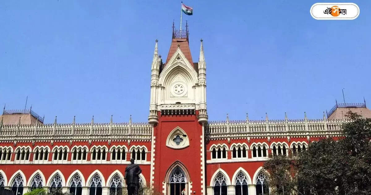 Calcutta High Court : নির্যাতিতাদের সুরক্ষার ভারও সিবিআইকে দিল হাইকোর্ট – calcutta high court ordered cbi to provide security of sandeshkhali victims