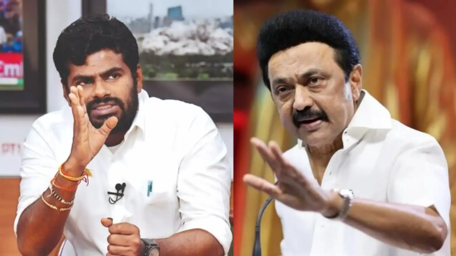 மாநில கல்வி கொள்கை: திமுக நடத்தும் தனியார் பள்ளிகளில் இந்தி கற்கலாம்! ஆனால்... அண்ணாமலை தாக்கு 