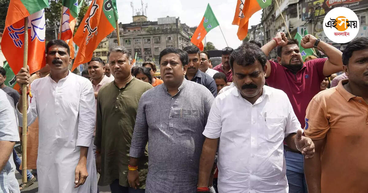 Sukanta Majumdar,ধর্ষণে মৃত্যুদণ্ড: রাজ্যের বিল সমর্থনের কৌশল বিজেপির – bjp state president sukanta majumdar support trinamool plan bring death penalty bill
