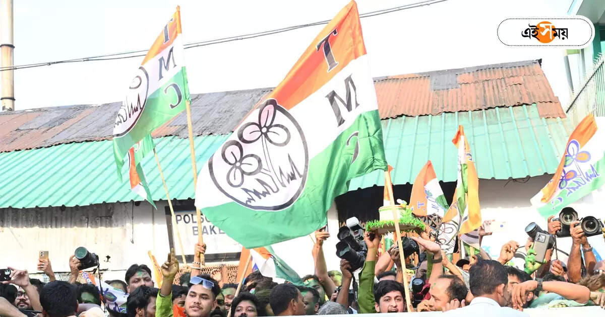 Lok Sabha Election Result 2024 : জঙ্গলমহলে ফিকে গেরুয়া, সাফল্য এল লক্ষ্মীর-ভাণ্ডারে – lok sabha election results 2024 trinamool defeated bjp in jangalmahal
