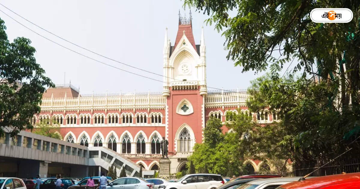 WB Panchayat Election : ‘ঘাসফুল’ চিহ্ন না পেয়ে গোঁসা, তৃণমূলের বিরুদ্ধেই আদালতের দ্বারস্থ নির্দল প্রার্থী