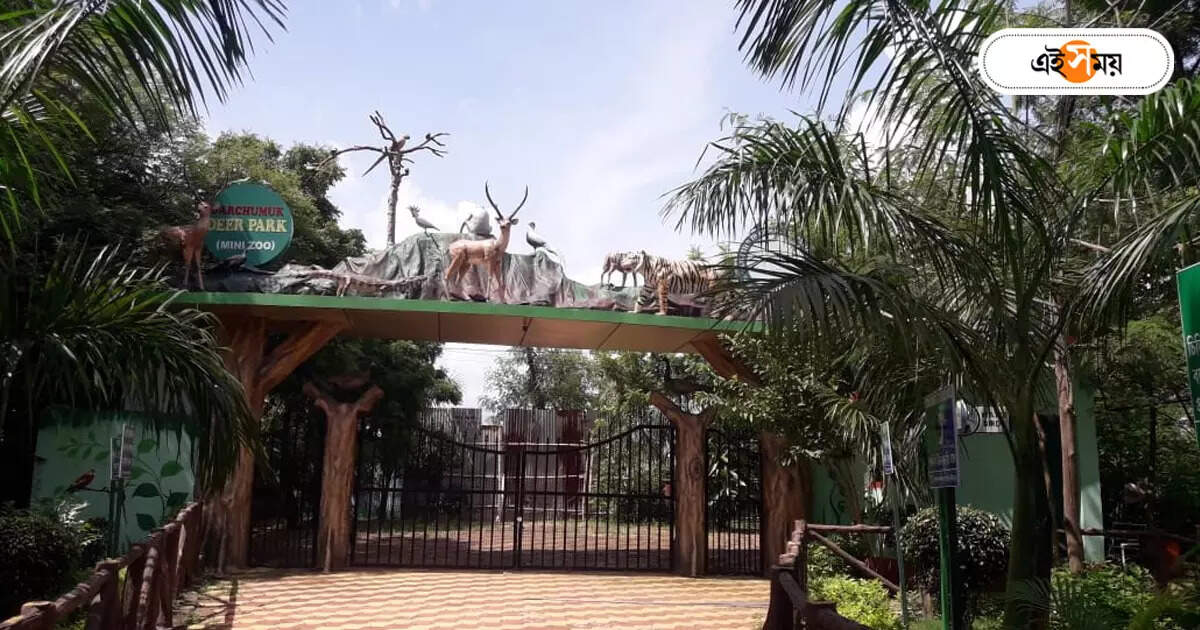 Garchumuk Zoological Garden : পর্যটনের নয়া ডেস্টিনেশন! সেজে উঠছে গড়চুমুক জিওলজিক্যাল গার্ডেন – garchumuk zoological garden mini zoo ready to entertain tourists