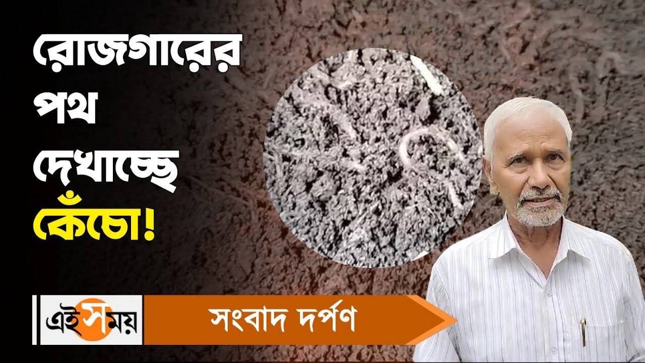 Business Ideas: ঘরে বসেই হাজার হাজার টাকা আয়, রোজগারের পথ দেখাচ্ছে কেঁচো! – business ideas malda resident saifuddin ahmed earns money by earthworm farming for details watch video