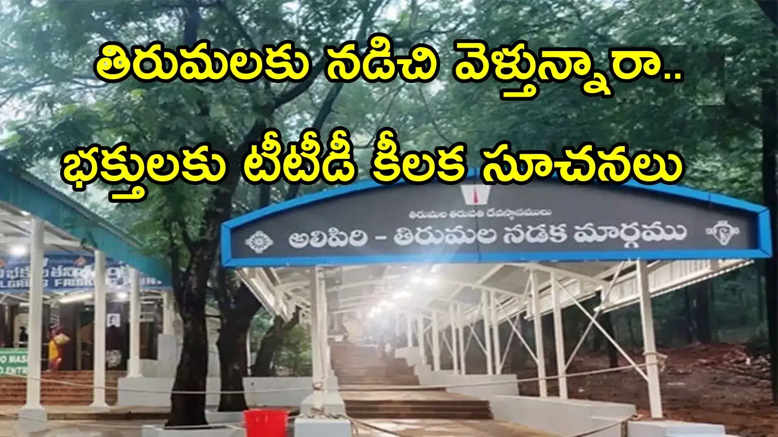 తిరుమలకు కాలినడకన వెళుతున్నారా.. భక్తులకు టీటీడీ అలర్ట్, ఈ జాగ్రత్తలు తీసుకోండి