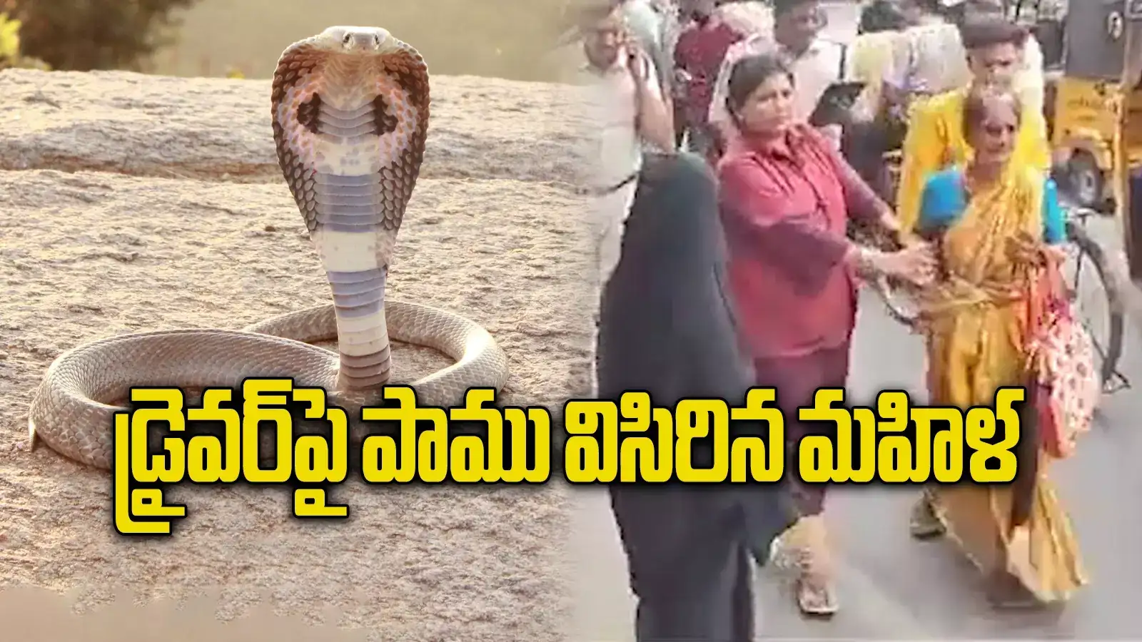 Hyderabad Bus: బస్‌పై బీరు బాటిల్‌తో దాడి.. డ్రైవర్‌పై పాము విసిరేసి.. మద్యం మత్తులో మహిళ హల్‌చల్