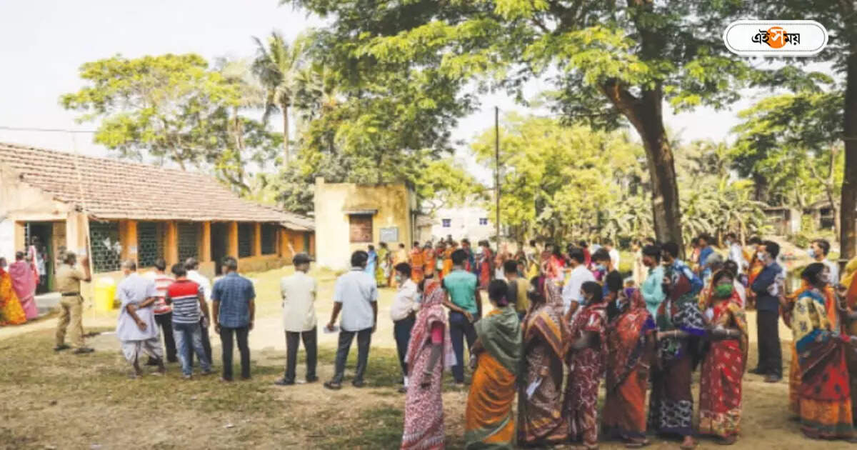 Tree Plantation : প্রতিটি ভোট কেন্দ্রে বৃক্ষরোপণ, নির্বাচনের আগে অভিনব কর্মসূচি রানাঘাটে – tree plantation programme at ranaghat sub division amidst lok sabha election