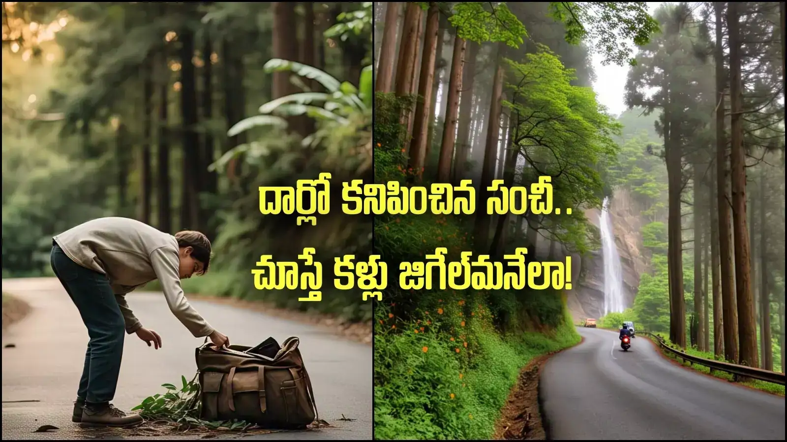 రోడ్డుపై వెళ్తుండగా కనిపించిన సంచి.. తెరిచి చూస్తే, కళ్లుజిగేల్.. ఆ వ్యక్తి ఏం చేశాడో తెలిస్తే షాక్