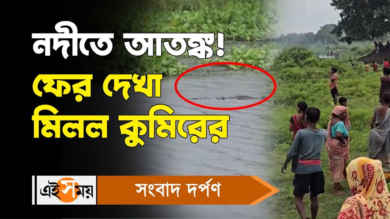 Krishnanagar Crocodile Panic : নদীতে আতঙ্ক! ফের দেখা মিলল কুমিরের – krishnanagar crocodile panic in jalangi river fishermen and local people imformed wb forest department watch video