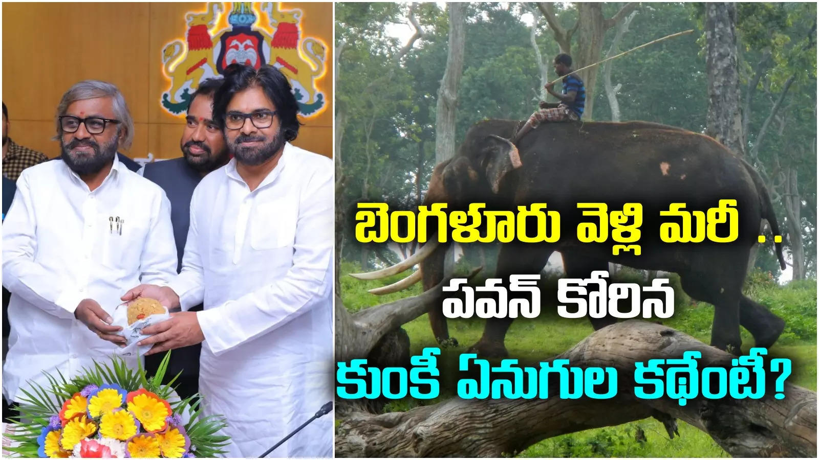 Kumki Elephants: కర్ణాటక నుంచి ఏపీకి 8 కుంకీ ఏనుగులు.. ఏంటి వీటి స్పెషాలిటీ?