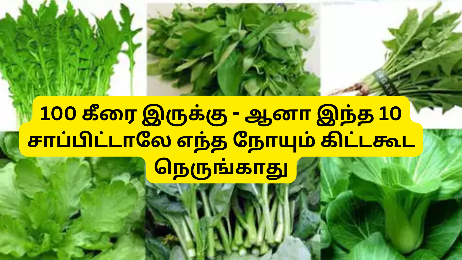 10 Best Keerai And That Benefits : கீரைகள் 100 கணக்குல இருக்கு - ஆனா ...