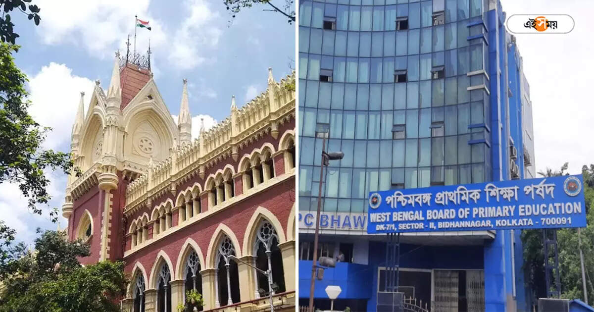 Primary TET,’পৃথিবীর যে কোনও এক্সপার্টের সাহায্য নিতে পারবে CBI’, TET মামলায় নির্দেশ হাইকোর্টের – calcutta high court ordered to get help from tcs wipro for primary tet scam investigation