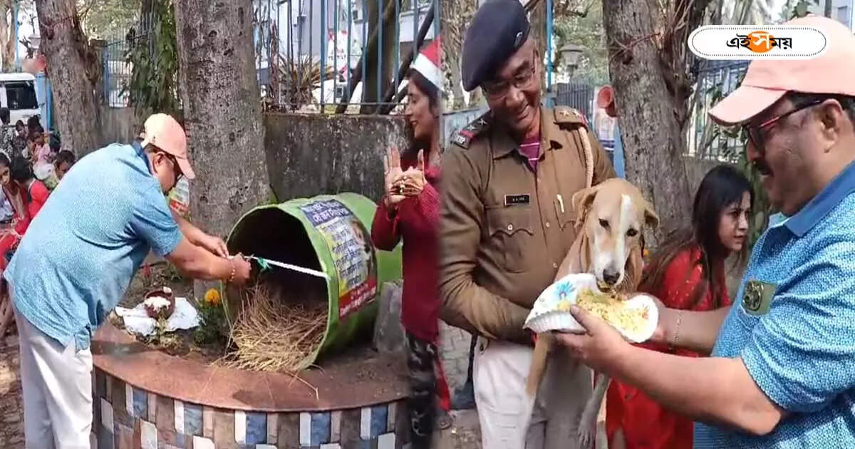 Street Dog : বড়দিনে দারুণ প্রাপ্তি! পথ সারমেয়রাও উপহার পেল ‘সান্তাক্লজ’-এর – street dog house arranged by some animal lovers at barasat municipality area