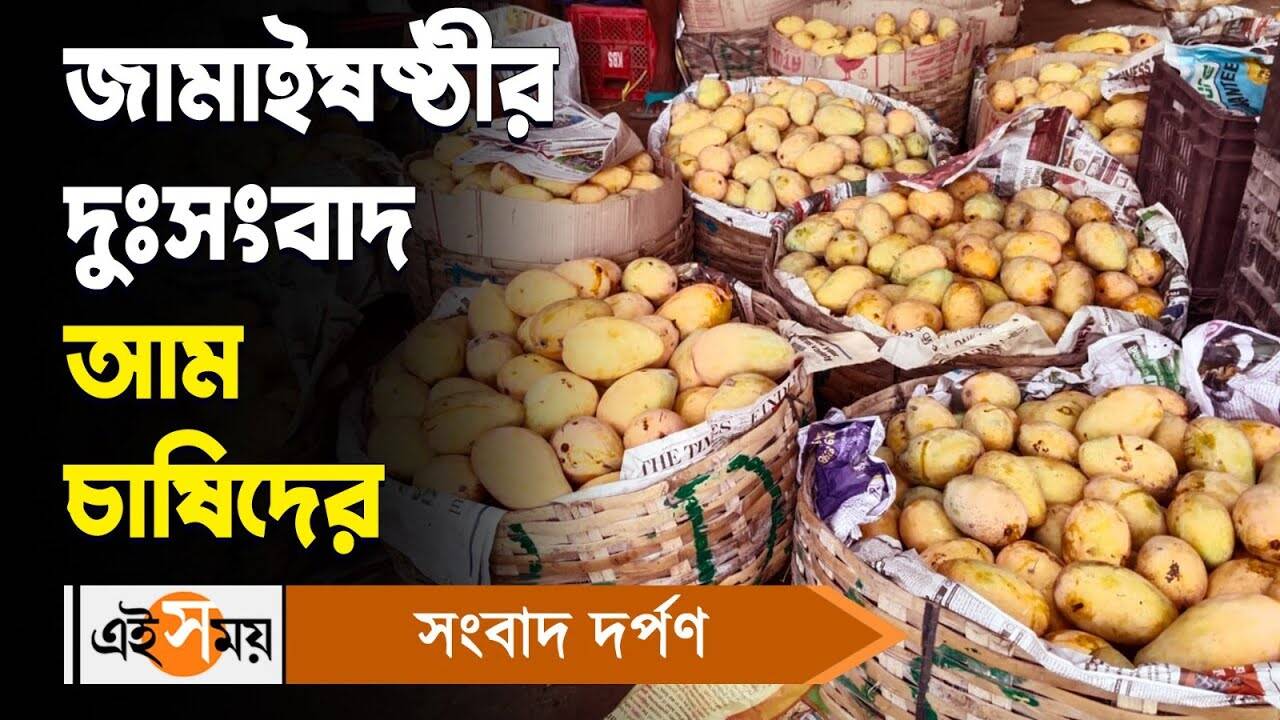 Mango Price,জামাইষষ্ঠীর দুঃসংবাদ আম চাষিদের – farmers are worried about mango drought in this year watch video