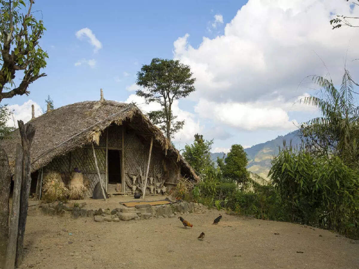 Longwa Village King House,भारत का एक ऐसा अनोखा गांव, जहां के लोग खाते हैं  एक देश में और सोते हैं दूसरे देश में - facts about nagaland longwa village  india - Navbharat