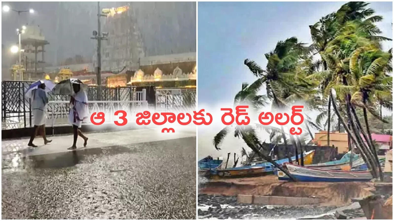 తిరుమలలో కుండపోత వర్షం.. రాష్ట్రంలో 3 రోజల పాటు వానలు.. ఆ 3జిల్లాలకు రెడ్ అలర్ట్