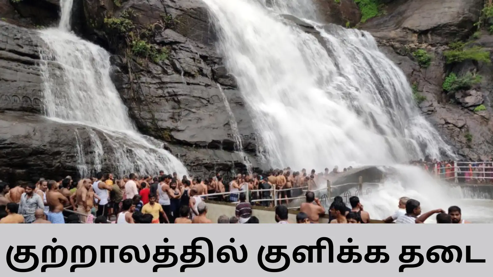 கனமழை எதிரொலி: குற்றால அருவிகளில் குளிக்க தடை! ஏமாற்றத்தில் அய்யப்ப பக்தர்கள்... 