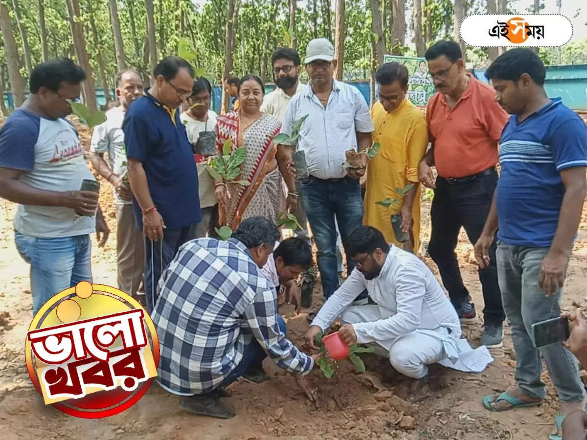 Jhargram News : ‘অরণ্য সুন্দরী’র রক্ষায় নতুন গাছ! ঝাড়গ্রামে বৃক্ষরোপণ করল তৃণমূল – jhargram 10 number ward trinamool congress organises tree plantation program today good news