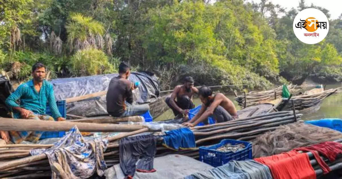 Sundarban Fisherman,দুর্যোগ কাটতেই সাগরপথে পাড়ি দেওয়া শুরু ট্রলারের – sundarbans fishermen return to the sea after cyclone dana