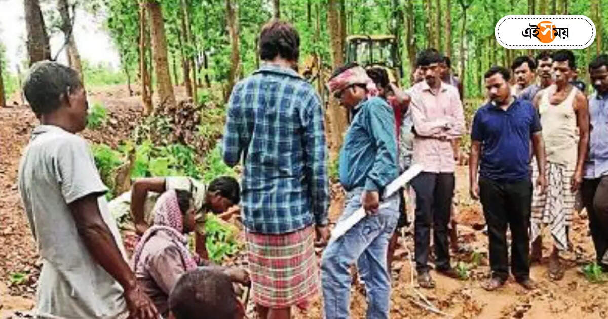 ভূমি রাজস্ব দপ্তর: ‘টাকাটাই শেষ কথা, বাকি সব বাতুলভা…’ – forest department officer to prevent encroachment of government land in jhargram