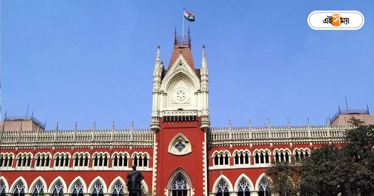 Calcutta High Court : দাদা জোর করে হাসপাতালে রাখেন বৌদিকে, কোর্টে বোন – wife is not a commodity or property says calcutta high court reminded