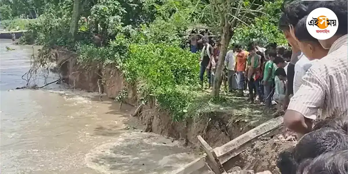 Samserganj Ganga Erosion,সামশেরগঞ্জে গঙ্গায় তলিয়ে গেল ১০টি বাড়ি – ten houses were submerged in ganga erosion at samserganj