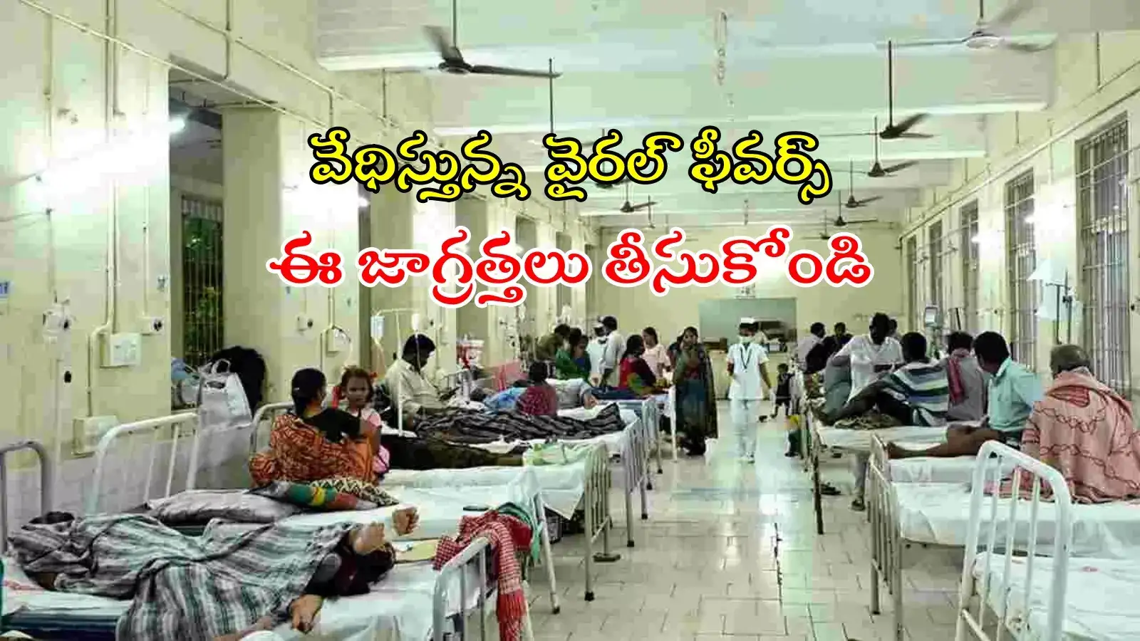 దడ పుట్టిస్తున్న వైరల్ జ్వరాలు.. ఒకే రోజు ఆరుగురు మృతి, ఈ జాగ్రత్తలు తీసుకోండి