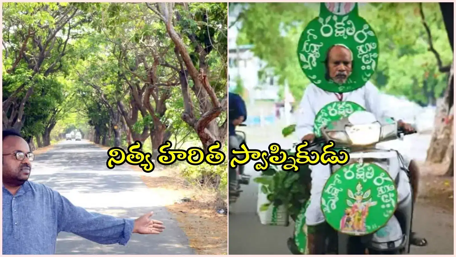 ఆ రహదారి నిజంగా ఆకుపచ్చని అద్భుతం.. దాని వెనుకున్న సామాన్యుడు వనజీవి రామయ్య