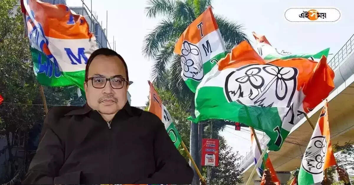 Kunal Ghosh,তৃণমূলের রাজ্য সম্পাদক পদ থেকে অপসারণ, মুখ খুললেন কুণাল ঘোষ – kunal ghosh reacts after he remove from the state general secretary of trinamool congress