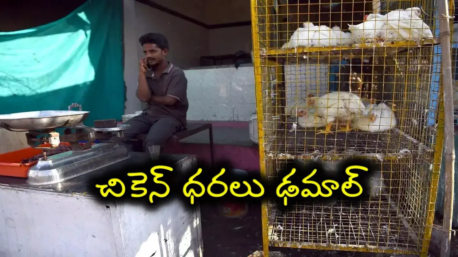 Chicken Price Down: చికెన్ షాపులు వెల వెల.. భారీగా పతనమైన ధరలు..
