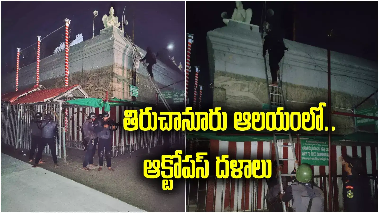 Tirupati: తిరుచానూరు పద్మావతి అమ్మవారి ఆలయంలో ఆక్టోపస్ బలగాలు.. ఏమైందంటే?