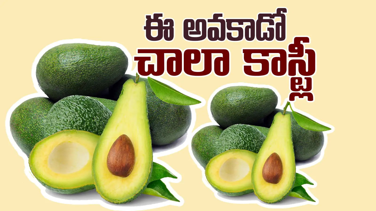 అవకాడోకు రూ. 2.6 లక్షలా..? మరీ ఇంత అమాయకంగా ఉంటే ఎలా బ్రో..!