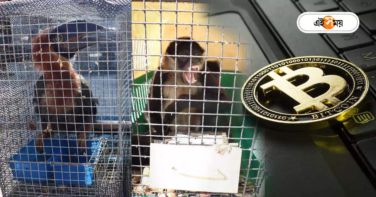 Wildlife Trafficking : বন্যপ্রাণ পাচারে ক্রিপ্টোকারেন্সি! হাঁ তদন্তকারীরা – cryptocurrency using in on wildlife trafficking in dholahat in south 24 parganas