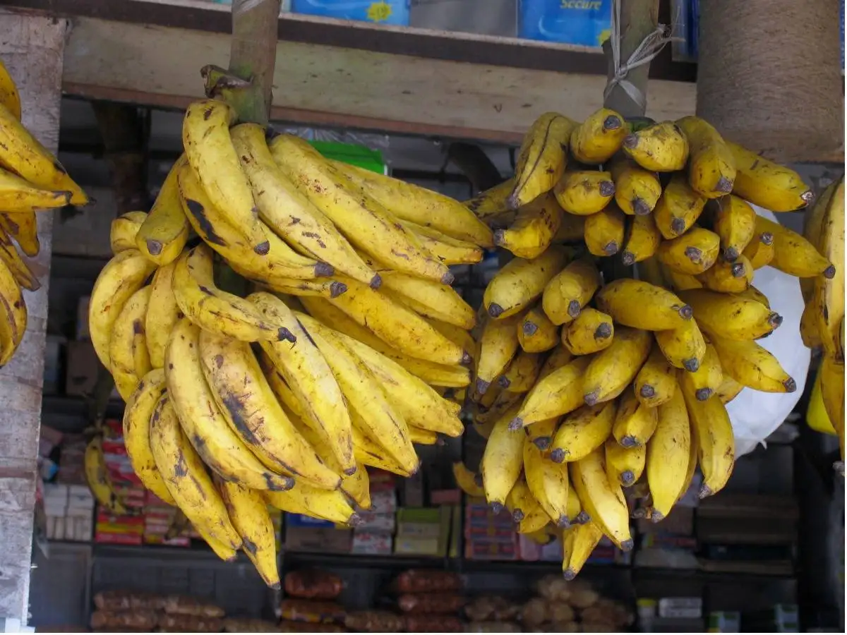 How To Use Kerala Banana For Weight Gain,മെലിഞ്ഞുണങ്ങിയ ശരീരം ...