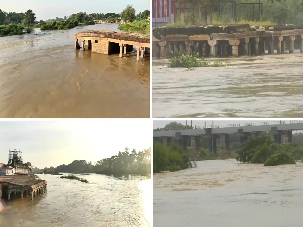 நெல்லையில் வெளுக்கும் மழை! தாமிரபரணி ஆற்றில் கடும் வெள்ளப்பெருக்கு! அணைகளின் நீர்மட்டம் உயர்வு! 