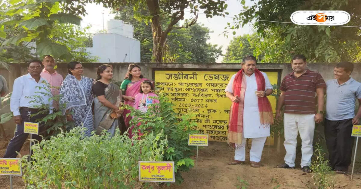 Herbal Tree : উদ্ভিদের গুণাগুণ জানুক নবপ্রজন্ম, ৩০০টি দুর্মূল্য ভেষজ গাছের উদ্যান হল দুর্গাপুরে – herbal tree garden inaugurated at pandaveswar bardhaman