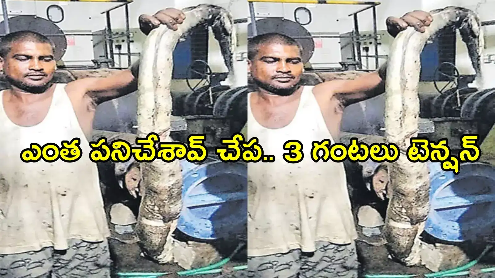 ఒక్క చేప వల్ల పెద్ద సమస్యే వచ్చింది.. నగరానికి నీళ్లు రాలేదు.. అధికారుల పరుగులు