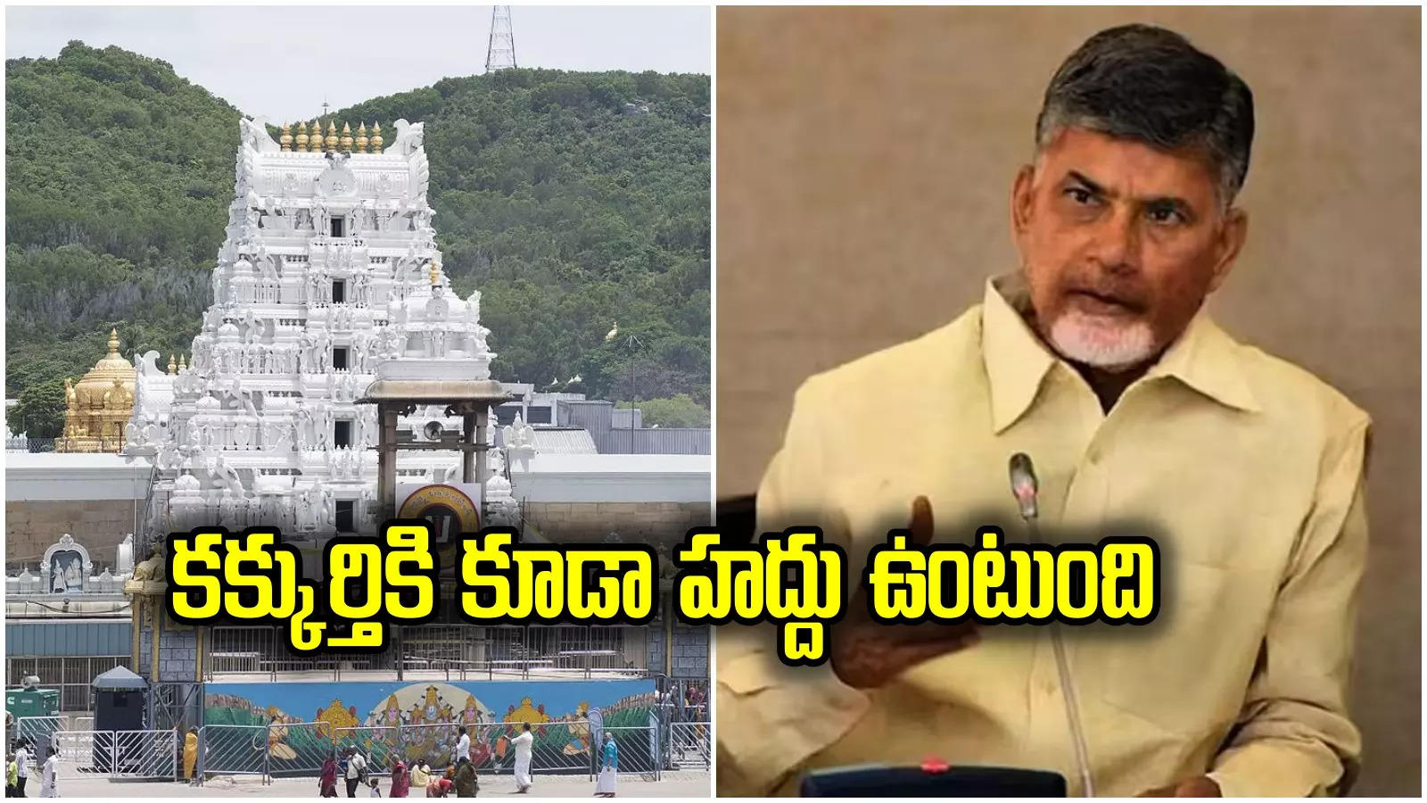 Tirupati Laddu: శ్రీవారికి అపచారం తలపెడితే ఈ జన్మలోనే శిక్షిస్తాడు.. చంద్రబాబు హెచ్చరికలు