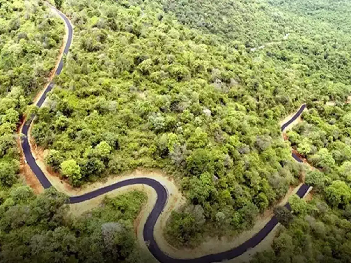 வேலூர்: பீஞ்சமந்தையில் 5 கோடி மதிப்பில் அமைக்கப்பட்ட சாலை இன்று திறப்பு.. 100 ஆண்டுகால கோரிக்கை நிறைவேற்றம்! 