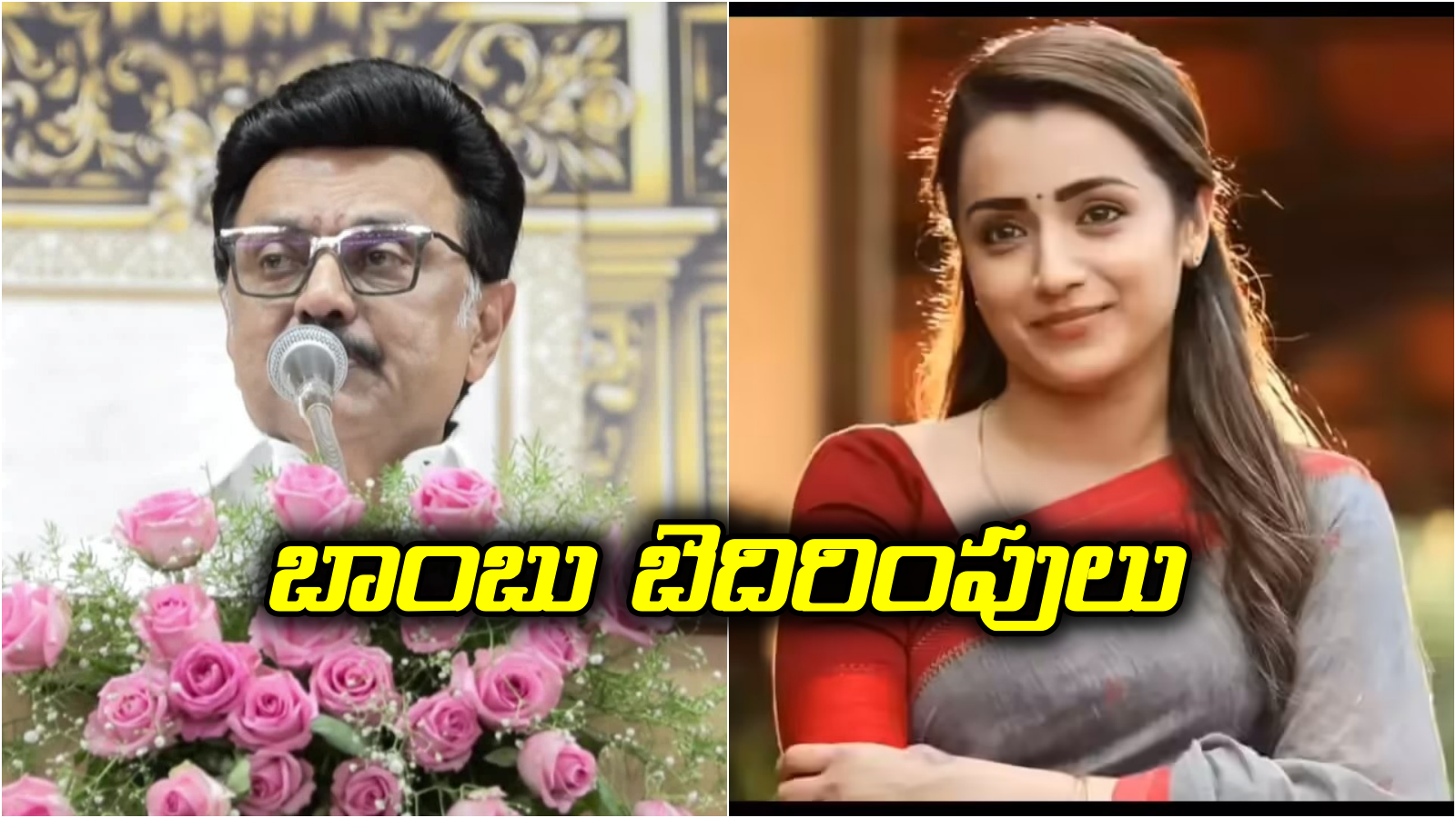 చెత్తబుట్టల్లో భారీ బాంబులు పెట్టాం..  త్రిష, స్టాలిన్‌కు బెదిరింపులు.. తమిళనాడు అలర్ట్