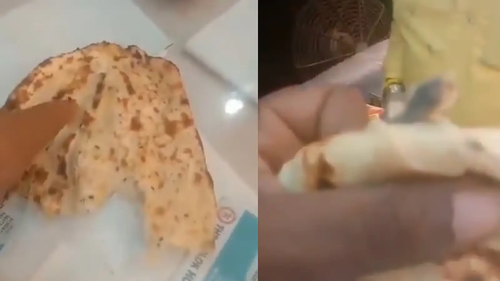 தந்தூரி ரொட்டிக்குள் இறந்து கிடந்த பல்லி.. பிரபல தாபாவில் நடந்த அதிர்ச்சி சம்பவம்- எங்க தெரியுமா? 